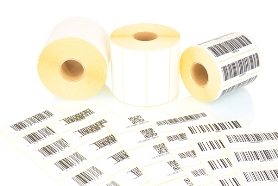 Vellum TTR 70 PSP10 G60Y